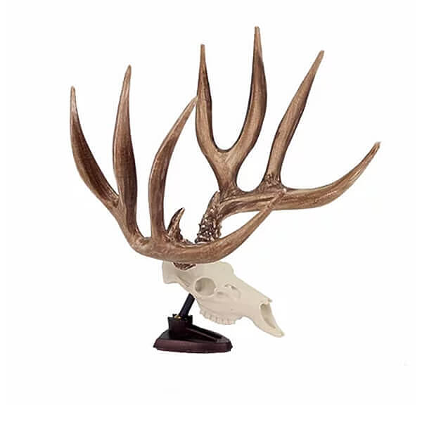 BIG RACK MULE DEER SKULL AND ANTLERS RAXX FIGURINE - Camofire Discount ...