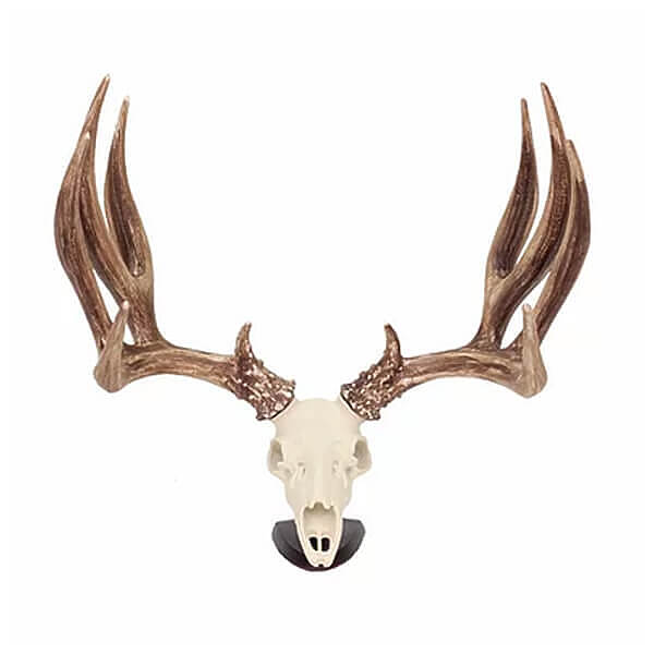 BIG RACK MULE DEER SKULL AND ANTLERS RAXX FIGURINE - Camofire Discount ...